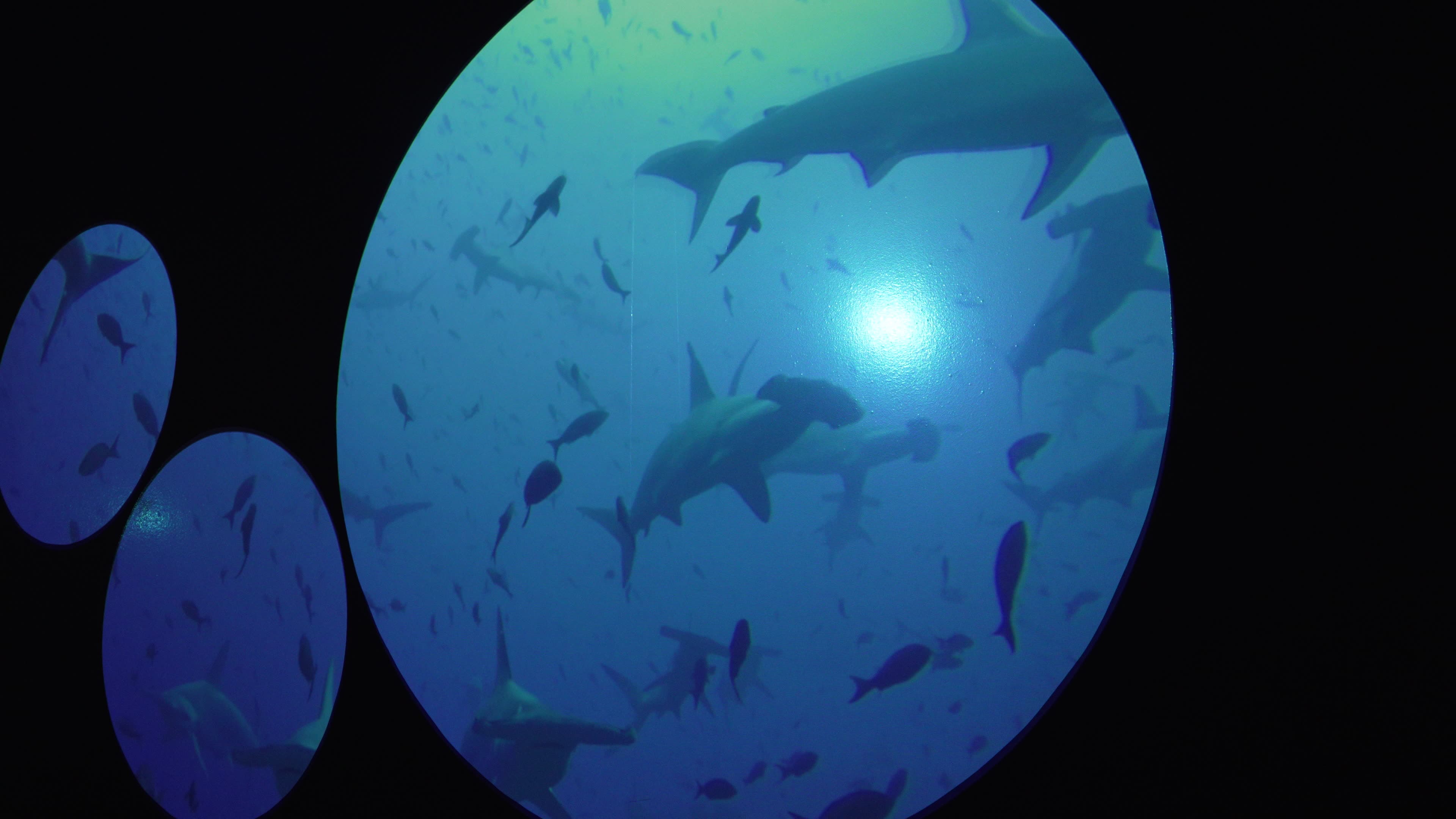 AI MarTech: May 2026